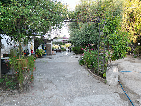 Pansiyon